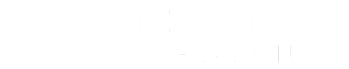 Tech Rise International